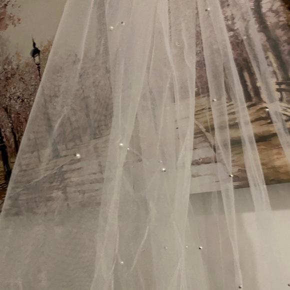 Elegant White Bridal Veil - Picture 5 of 6